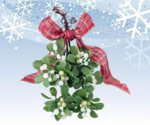 Mistletoe branch with berries puzzle