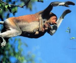 Monkey jumping puzzle