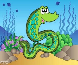 Moray eel puzzle