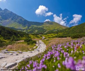 Mountain landscape puzzle