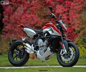 MV Agusta Rivale 800 2014 puzzle