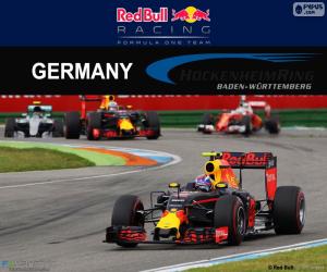 M.Verstappen, 2016 German Grand Prix puzzle