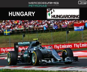 N. Rosberg 2016 GP Hungary puzzle