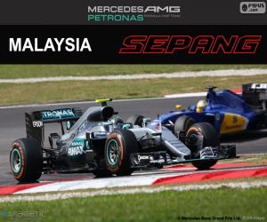 N. Rosberg, Malaysian GP 2016 puzzle