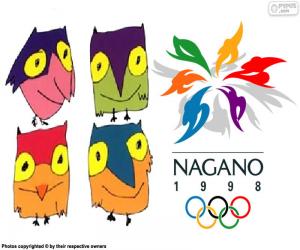 Nagano 1998 Winter Olympics puzzle