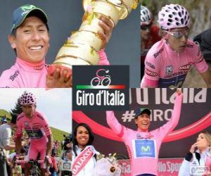 Nairo Quintana, Giro 2014 puzzle