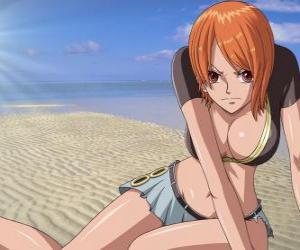 Nami is the navigator of the pirates's ship  puzzle