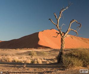 Namib Desert, Namibia puzzle