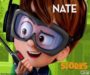 Nate, Storks puzzle
