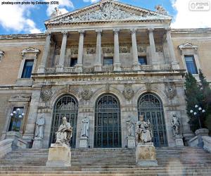 National Library of Spain, Madrid puzzle