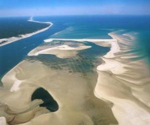 National Park Banc d'Arguin, located along the Atlantic coast. Mauritania. puzzle