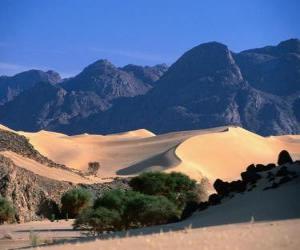 Nature Reserves of the Air and Tenere, Niger puzzle