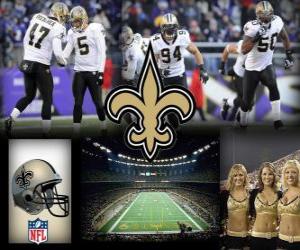 New Orleans Saints puzzle