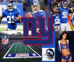 New York Giants puzzle