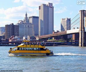 New York Water Taxi puzzle