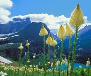 Nice landscape with flowers in the foreground puzzle