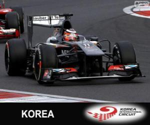 Nico Hülkenberg - Sauber - Korea International Circuit, 2013 puzzle