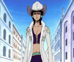 Nico Robin, archaeologist of the crew of The Straw Hat Pirates puzzle