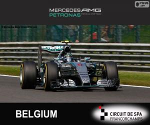 Nico Rosberg, 2015 Belgian Grand Prix puzzle