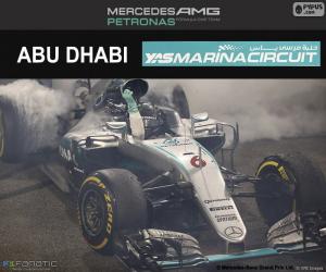 Nico Rosberg, 2016 Abu Dhabi GP puzzle
