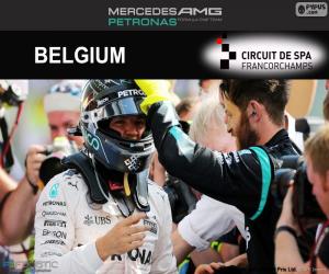 Nico Rosberg, 2016 Belgian Grand Prix puzzle