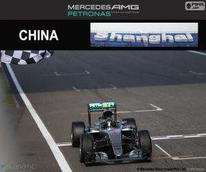 Nico Rosberg 2016 Chinese Grand Prix puzzle