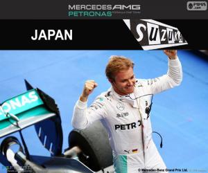 Nico Rosberg, 2016 Japanese GP puzzle