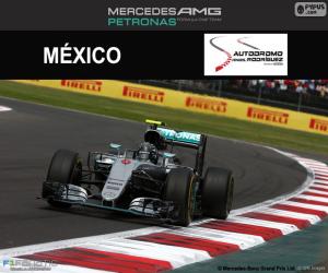 Nico Rosberg, 2016 Mexican Grand Prix puzzle