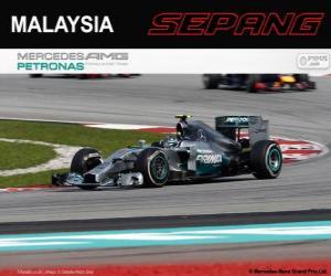 Nico Rosberg - Mercedes - Grand Prix of Malaysia 2014, 2º classified puzzle