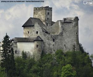 Niedzica Castle puzzle