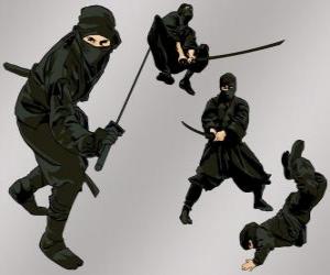 Ninja in various positions puzzle