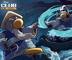 Ninja penguins, characters of the famous Club Penguin puzzle