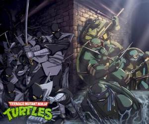 Ninja Turtles in action puzzle