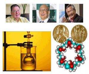 Nobel Prize in Chemistry 2010 - Richard Heck, Eiichi Negishi and Suzuki Akira - puzzle