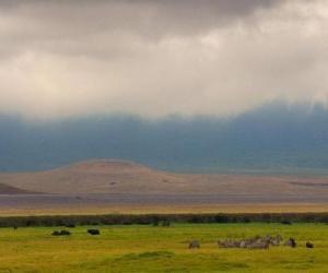 Norongoro - Tanzania - puzzle