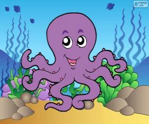 Octopus puzzle