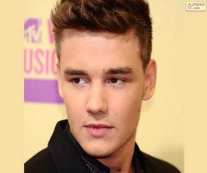 One Direction, Liam Payne puzzle