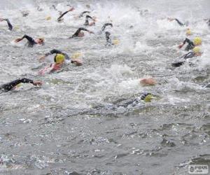 Open water swimming puzzle