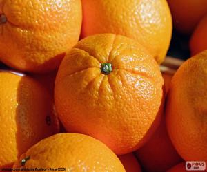 Oranges puzzle