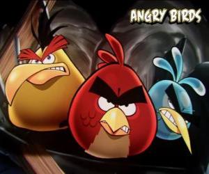 Other three birds from the videogame Angry Birds puzzle