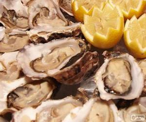 Oysters puzzle