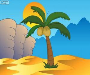 Palm tree, tree in the oasis of the desert puzzle