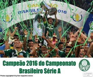 Palmeiras, 2016 Brazil champion puzzle