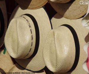 Panama Hat puzzle