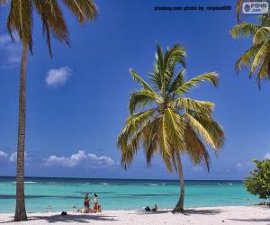 Paradise beach puzzle