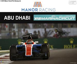 Pascal Wehrlein, 2016 Abu Dhabi GP puzzle