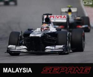 Pastor Maldonado - Williams - Sepang 2013 puzzle