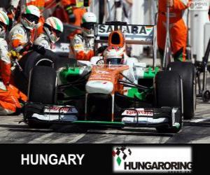 Paul di Resta - Force India - Hungaroring, 2013 puzzle