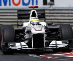Pedro de la Rosa -Sauber - 2010 Hungarian Grand Prix puzzle