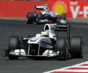 Pedro de la Rosa - Sauber - Silverstone 2010 puzzle